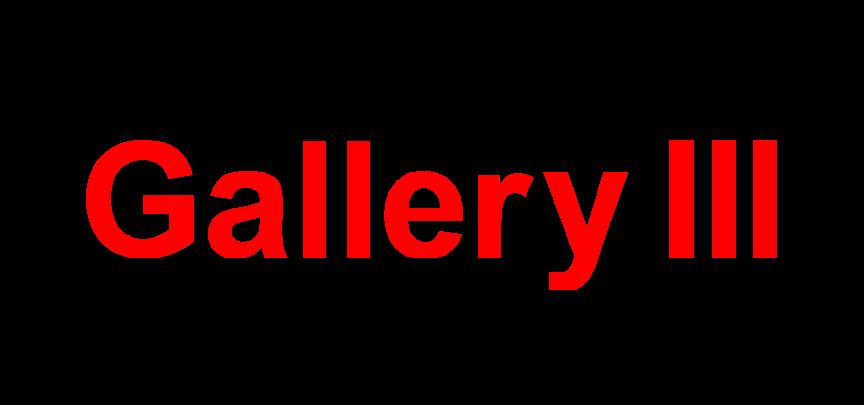 Gallery 3