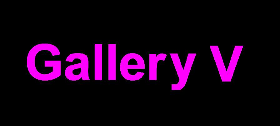 Gallery 5