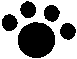 Katzenpfote
