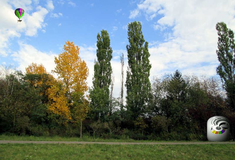 August
