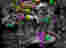 Collapsism 1